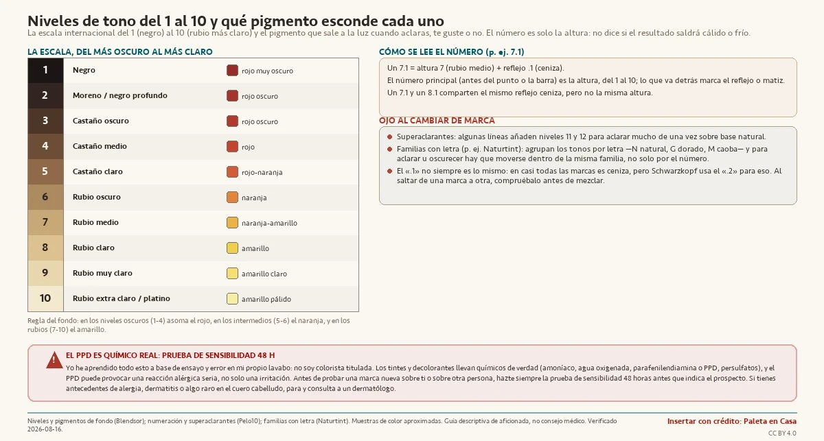 Escala vertical de niveles de tono del cabello del 1 al 10 (del negro del nivel 1 al rubio platino del nivel 10) mostrada como una barra de degradado, con el nombre de cada nivel y una muestra del pigmento de fondo que asoma al aclarar (rojo en los niveles oscuros, naranja en los intermedios y amarillo en los rubios), más un panel que explica cómo se lee el número de un tinte (por ejemplo 7.1 = altura 7 más reflejo .1) y otro con las variaciones por marca (niveles superaclarantes 11 y 12, familias con letra como en Naturtint, y que el .1 es ceniza salvo en Schwarzkopf que usa el .2), y una franja de seguridad sobre la prueba de sensibilidad por la PPD.